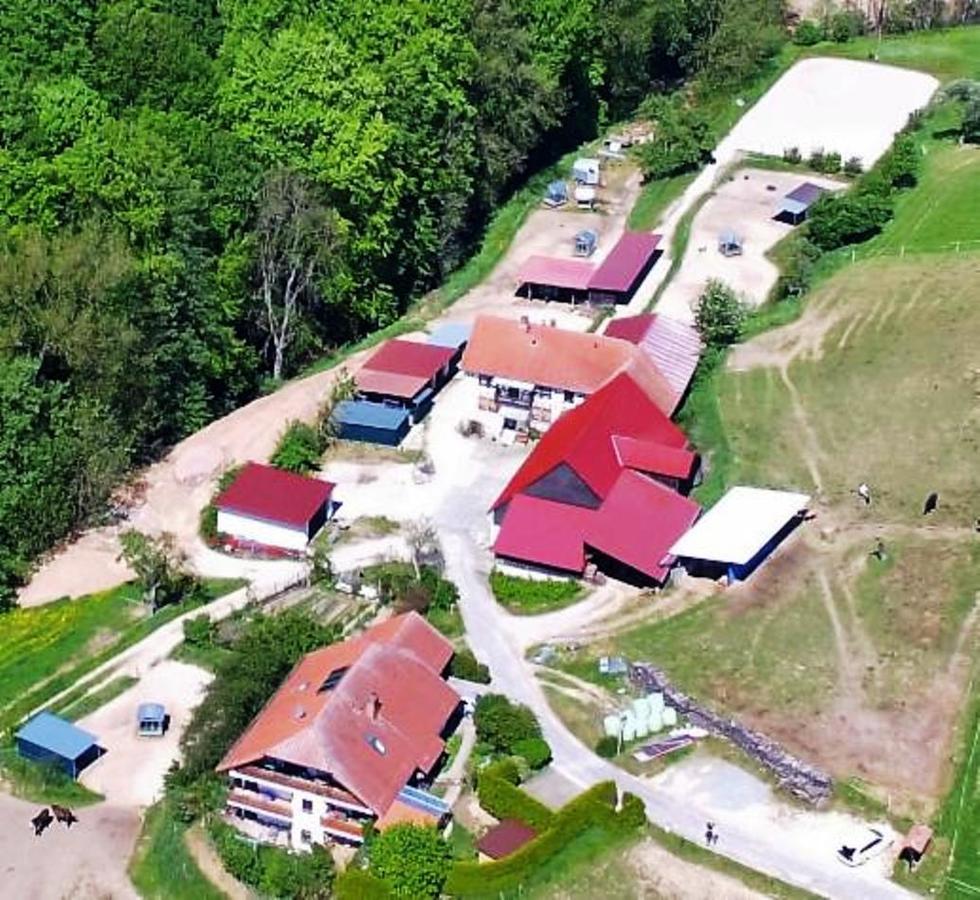 Mörlenbach Pferdehof Und Wanderreitstation Doersam 빌라 외부 사진